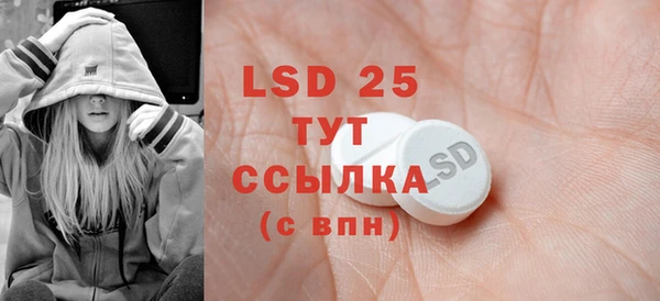 PSILOCYBIN Баксан