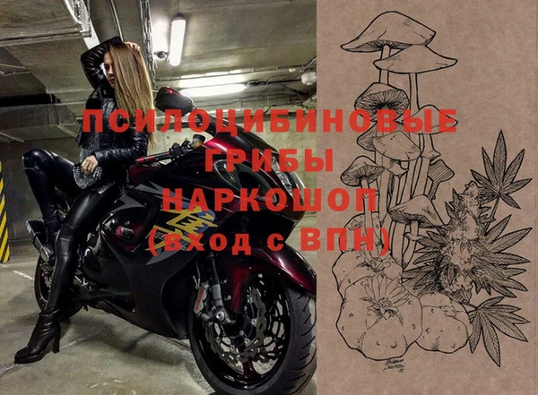 PSILOCYBIN Баксан