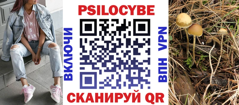 Псилоцибиновые грибы GOLDEN TEACHER  ссылка на мегу ТОР  Звенигород 