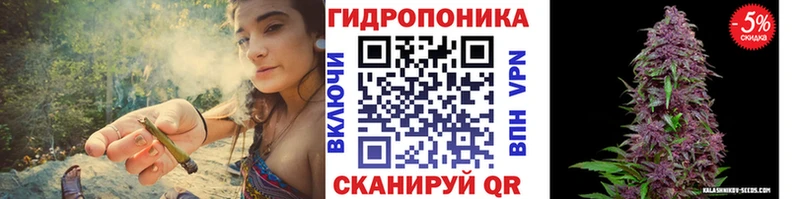 Бошки Шишки план  маркетплейс телеграм  Звенигород 